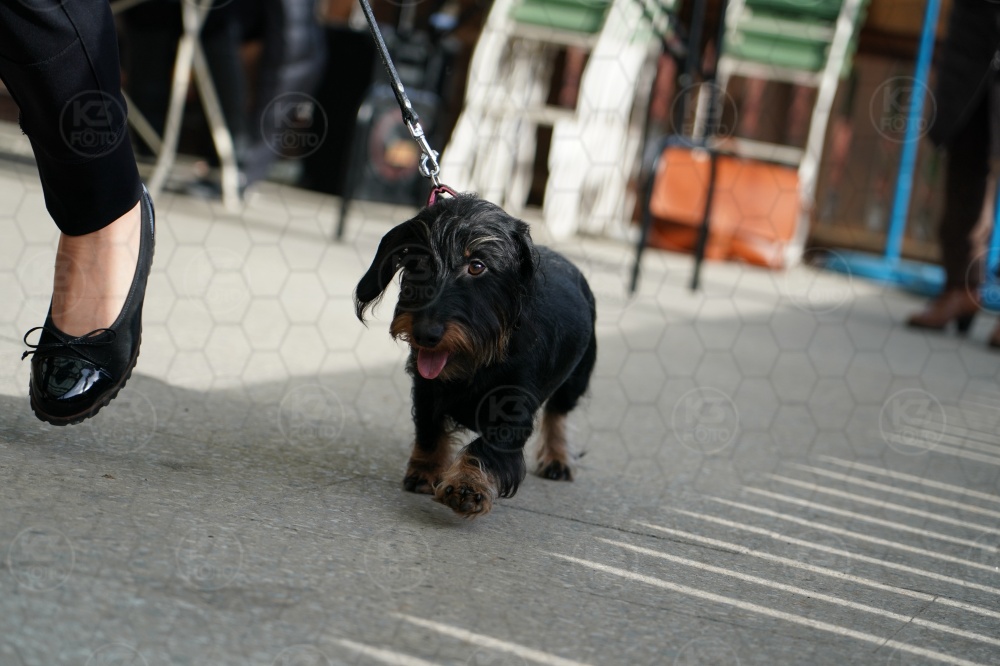 s_A9_00030.jpg